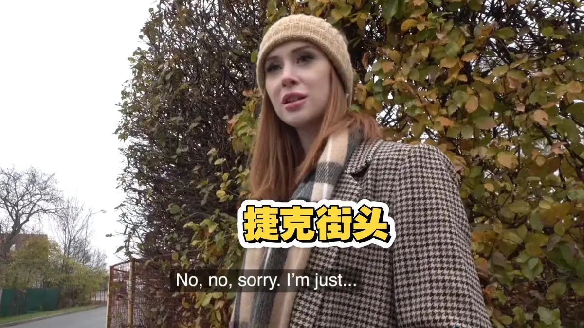 捷克街头钞能力搭讪系列在线观看 - 2025电影完整版高清全集免费资源 - 无广告HD高清播放