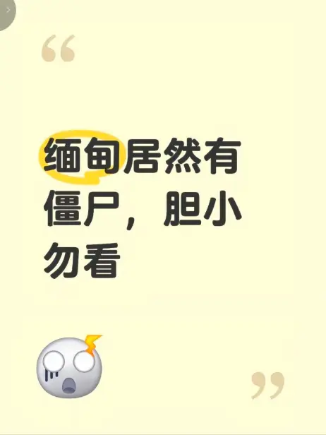 缅甸僵尸出土事件 高清无删减免费播放 现场全程录像揭秘真相