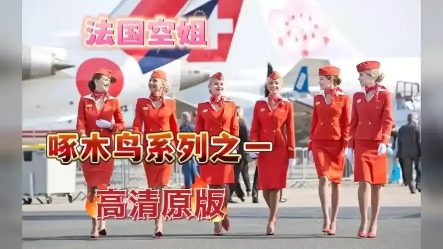 《法国空姐4》资源下载-法国空姐4免费观看超高清完整版在线观看-法版空姐2019无卡顿高清4K