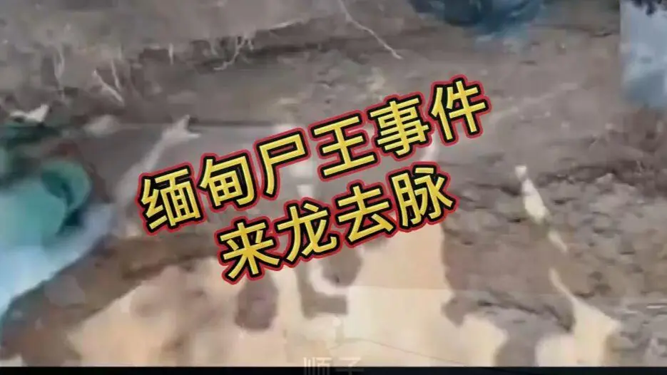 《缅甸僵尸出土事件视频》诡异真相解密在线观看免费播放 - 爆火视频完整版资源在线观看免费播放高清下载