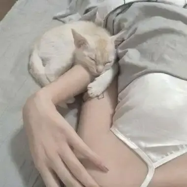 森泽佳奈高清全集1080P蓝光无删减中文版免费在线看无广告-网盘夸克迅雷高速下载-年度现象级作品全集珍藏版